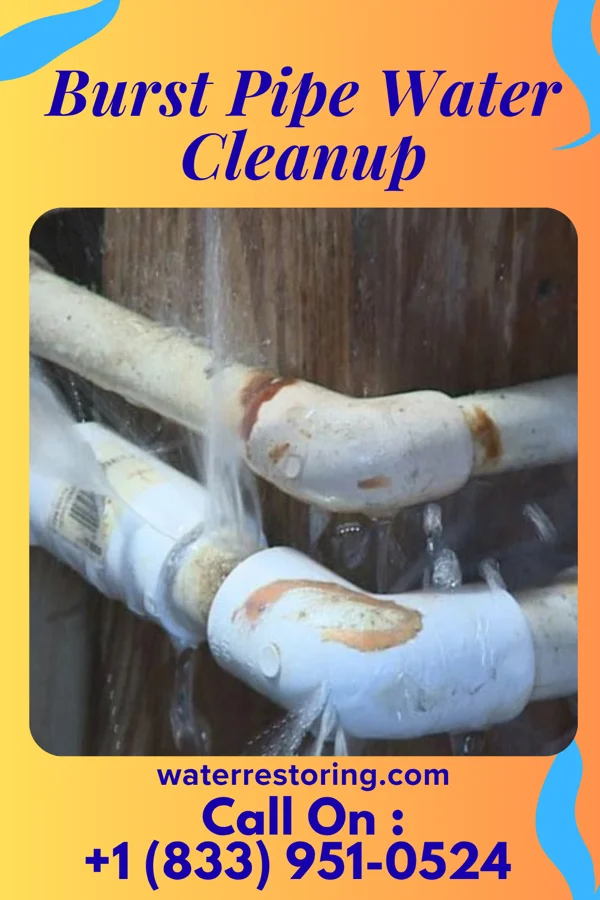 Burst Pipe Water Cleanup in Woodworth, ND