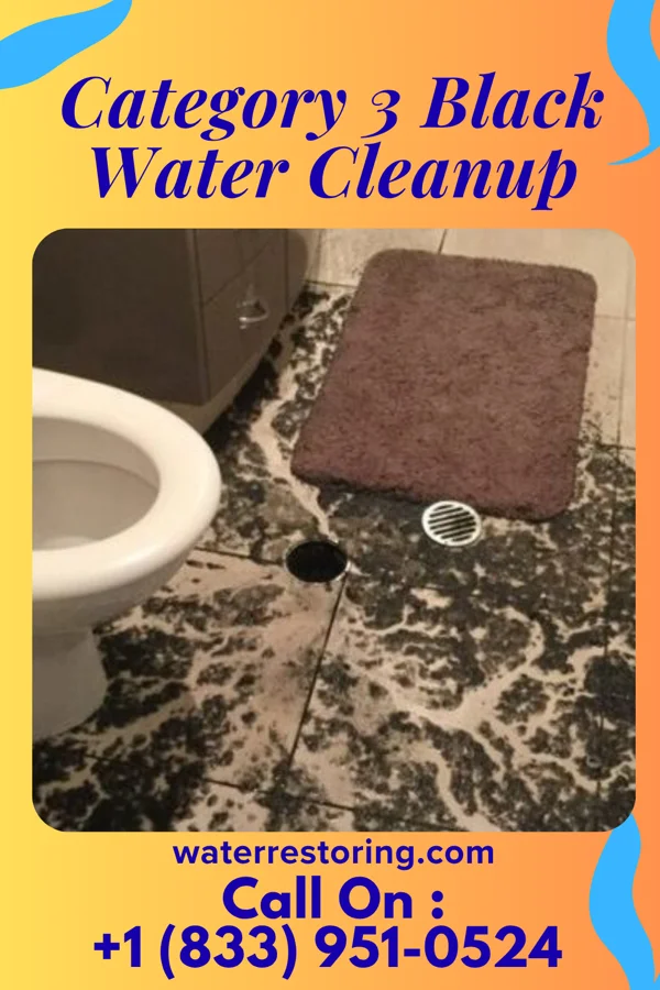 Category 3 Black Water Cleanup in Woodworth, ND