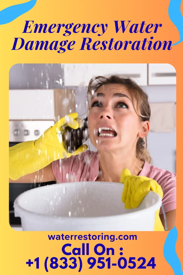 Emergency Water Damage Restoration in Woodworth, ND
