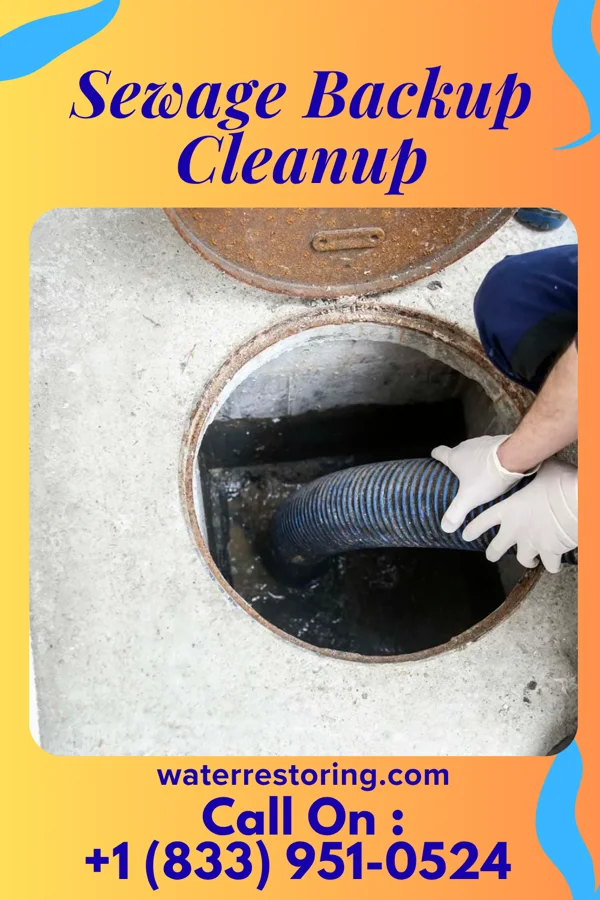 Sewage Backup Cleanup in Woodworth, ND