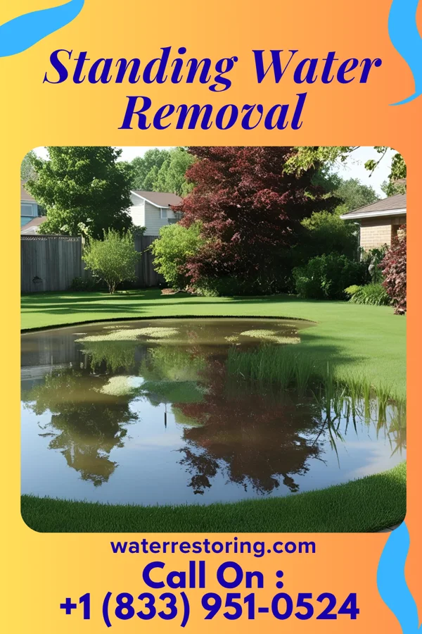 Standing Water Removal in Woodworth, ND